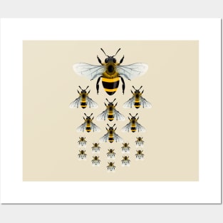 Swarm of bees formation Posters and Art